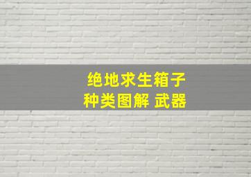 绝地求生箱子种类图解 武器